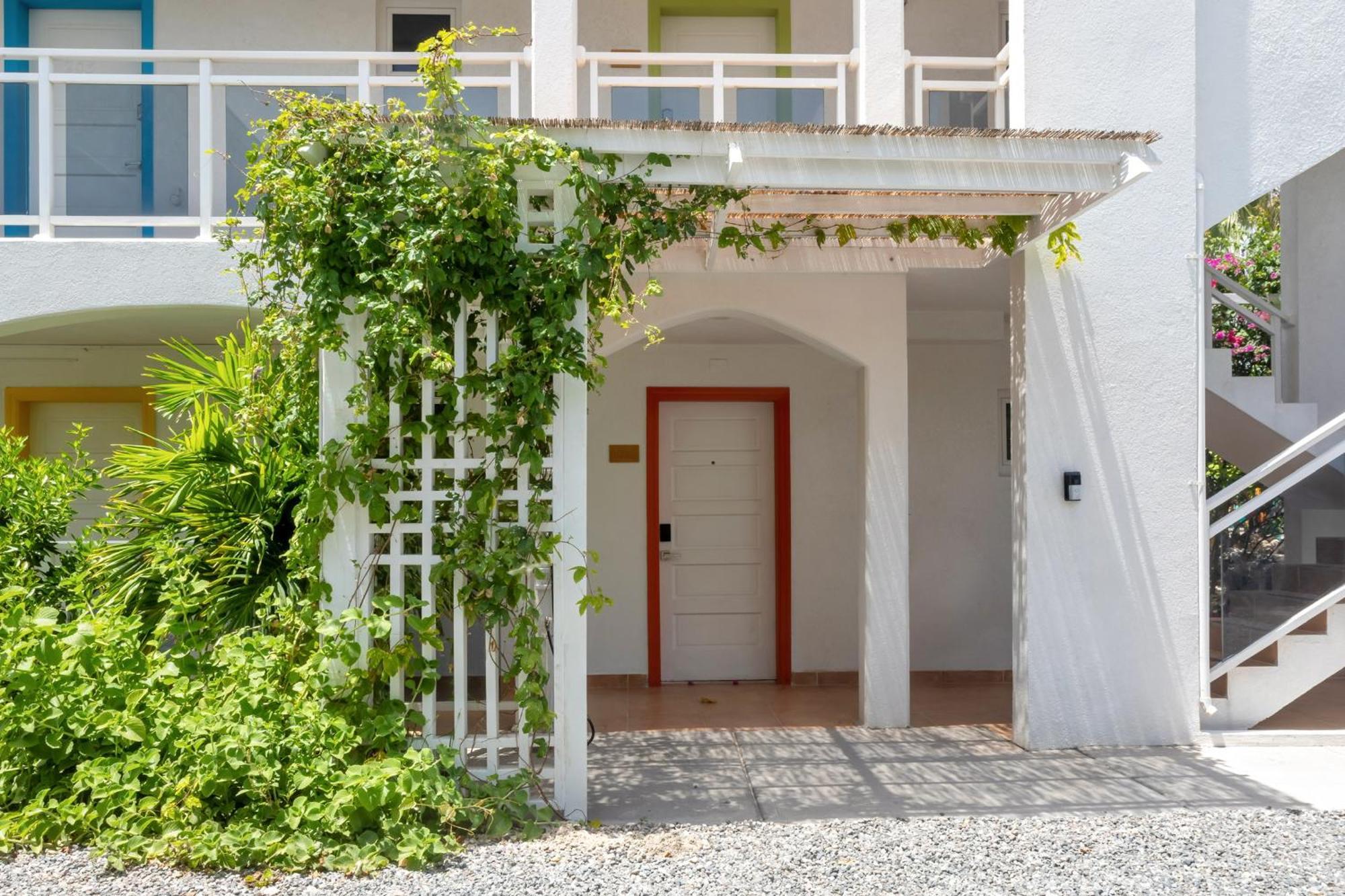 Maho Beach House - Petite Studio - Beach Access Dış mekan fotoğraf